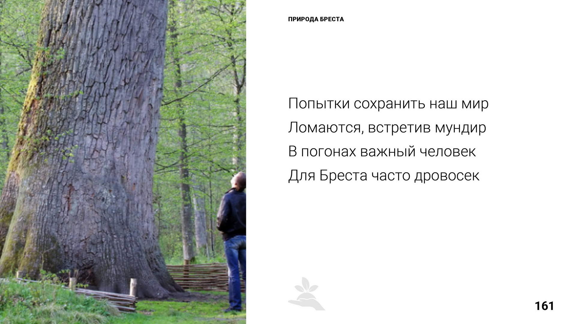 Брест 1000 лет