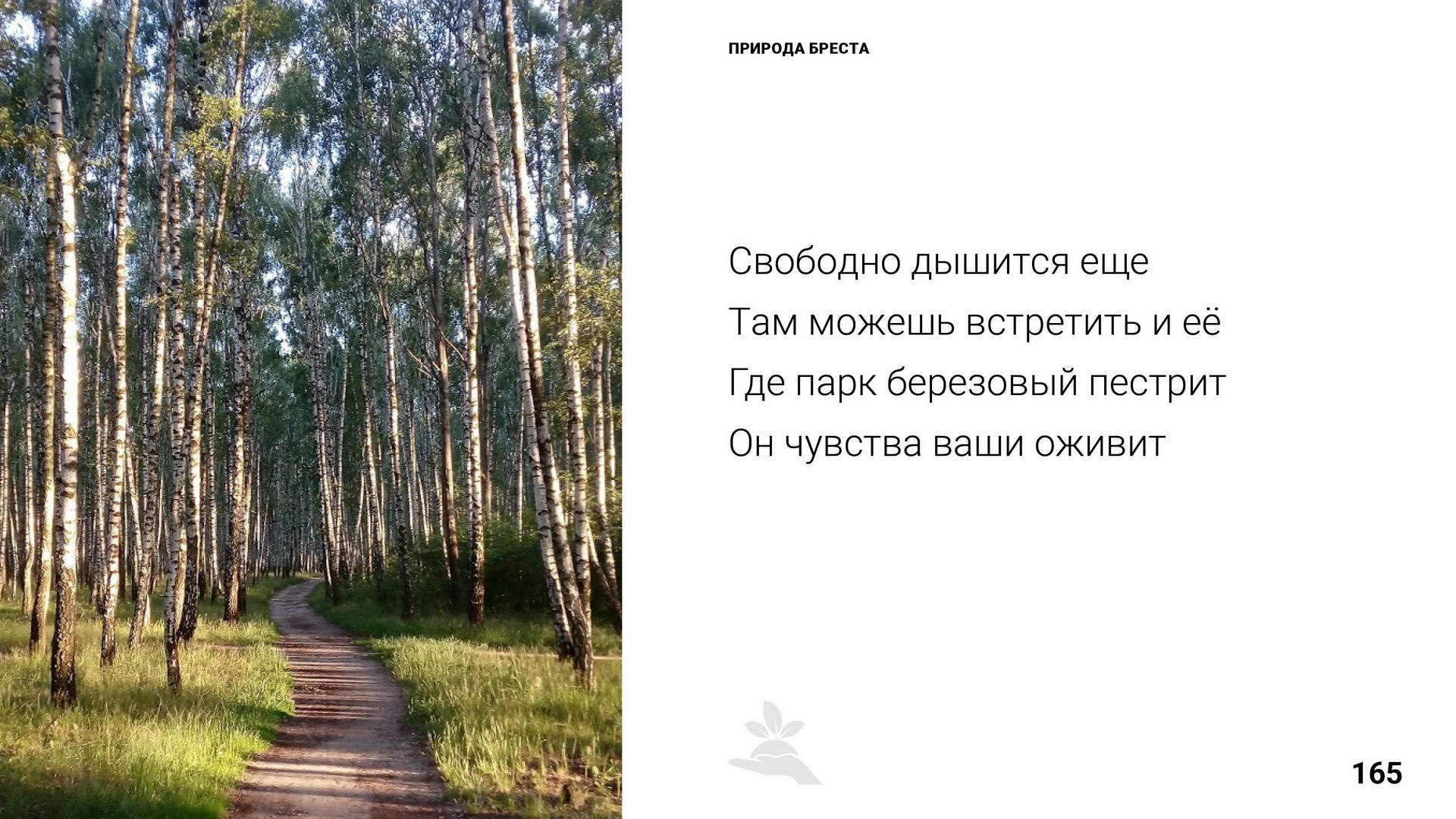 Брест 1000 лет