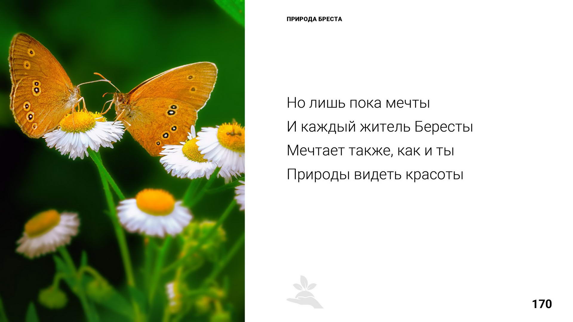 Брест 1000 лет